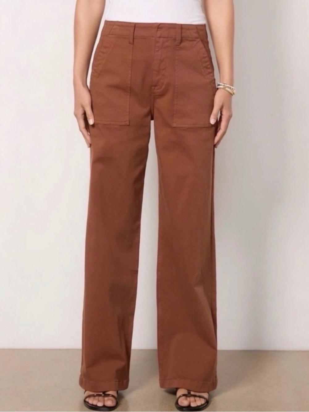 Anthropologie Pistola High Rise Wide-Leg Utility Pants in Spice Size 30